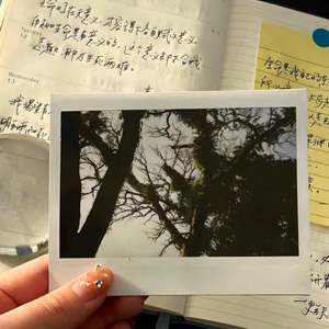 翻唱《写给辛夷的歌》（钢琴版）