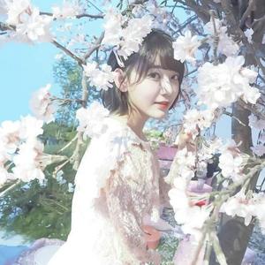 Violeta（翻自 Izone）