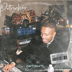 「FREE」Metro Boomin Type Beat - "Petrichor"