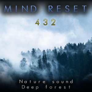 Nature sound: deep forest