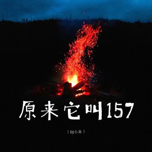 原来它叫157