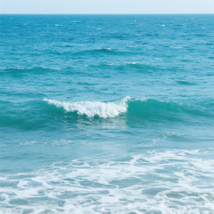 云的夏水之海林