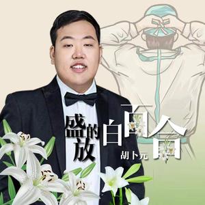 盛放的白百合（伴奏）