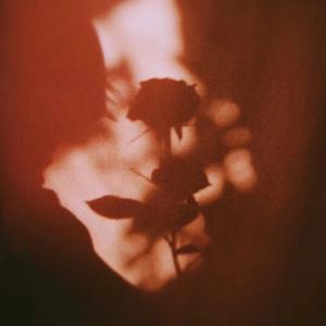 不知不觉爱上你Remix