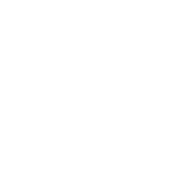 夏夜 - 洛天依 徵羽摩柯