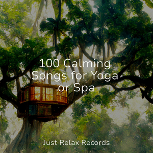 Echoes in the Lonely Field