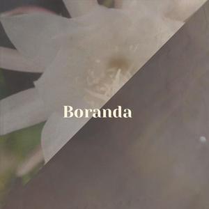Boranda