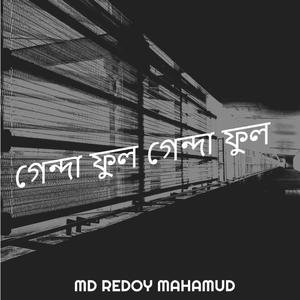 গেন্দা ফুল গেন্দা ফুল