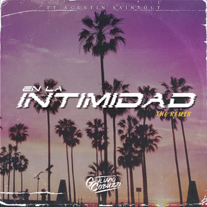 En La Intimidad (Remix)