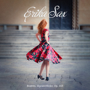 Zigeunerlieder, Op. 103: No. 5, Brauner Bursche führt zum Tanze. Allegro giocoso