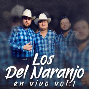 Dejaria Todo (En Vivo 2020) (En Vivo 2020)
