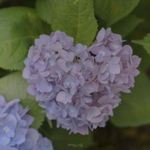 广东/爱情/故事