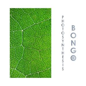 Photosynthesis Bongo (feat. Agronauta)