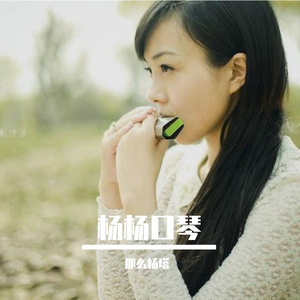 匆匆那年（杨杨口琴版）