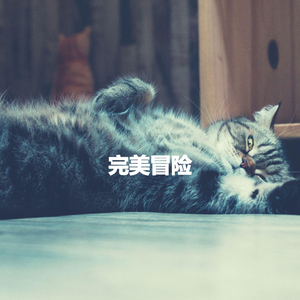 Latin Guitar Soundtrack for Soul Parties