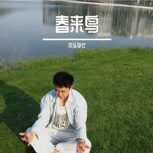 春来鸟（cover：鹏泊）