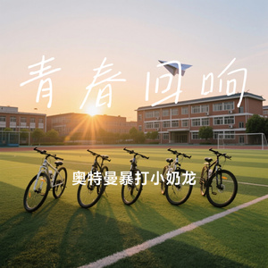 青春回响