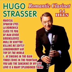 You Are the Sunshine of My Life