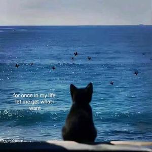 overthinking. (ambient)