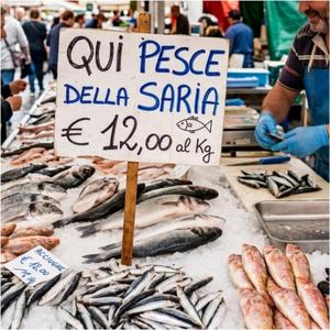 U pisci da Saria