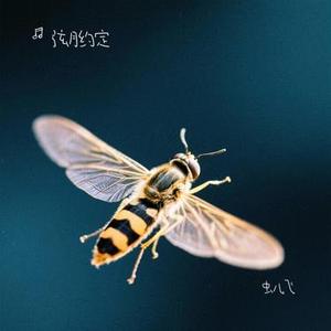 虫儿飞 (Cover 杨烁)