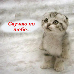 Одинокая любовь