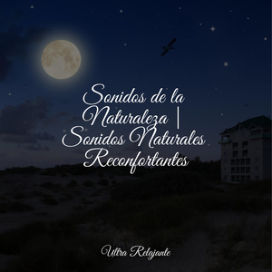 Perfección Después Del Anochecer