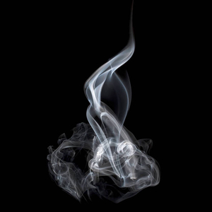 羞答答的玫瑰静悄悄的开