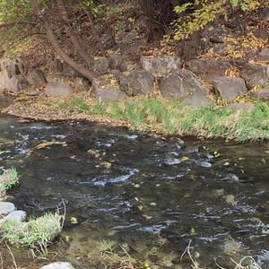 그대를 찾아가는 길