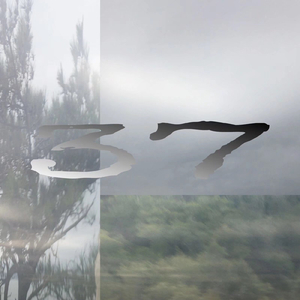 我好像丢掉了我自己