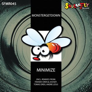 Minimize (Tomas Drex, Andre Lesu Remix)