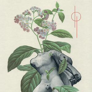The Seed