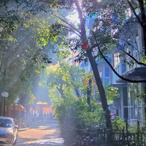 对你的二分之一