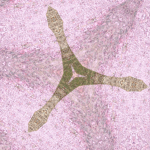 Opening Your Third Eye and Activating Your Pineal Gland