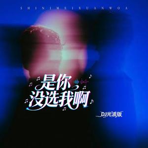 是你没选我啊(DJ光波版)