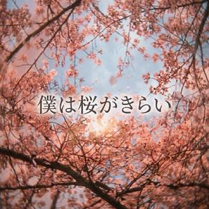 僕は桜がきらい