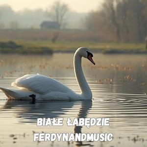 BIAŁE ŁABĘDZIE