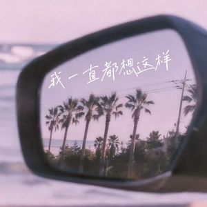 我一直都想这样