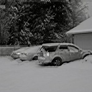 专情（COVER：顾帅）