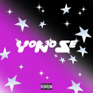 YoNoSe