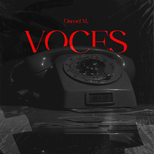 Voces