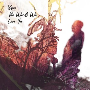 Cloth Eye Jennies v1