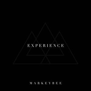 Experience