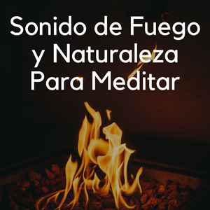 Salpicaduras Suaves De Ondas