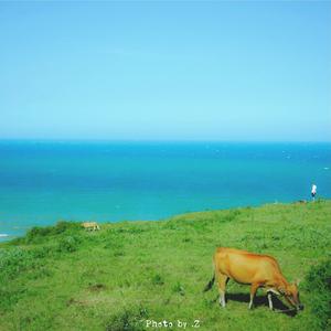 乌兰巴托的夜（翻自 普日布道尔吉）