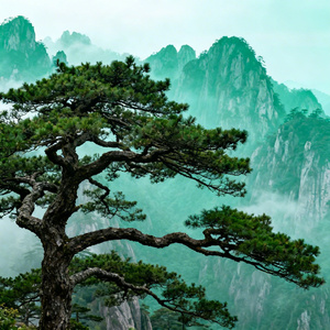 黄山