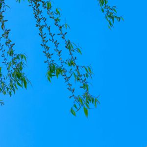 Sleeptalking（伴奏0.8）