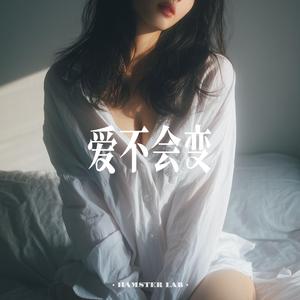爱不会变 - 我们的爱 (DJ小仓鼠版)