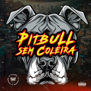 Pitbull Sem Coleira