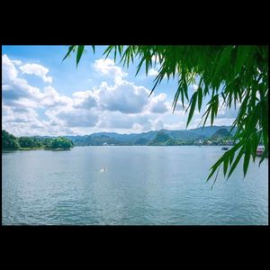 我爱你不问归期